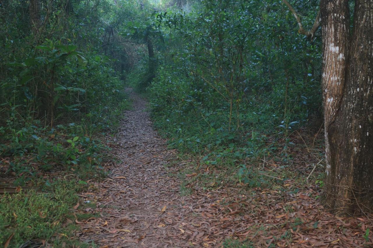 Arakkal Heritage Mararikulam Εξωτερικό φωτογραφία